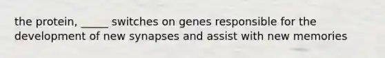 the protein, _____ switches on genes responsible for the development of new synapses and assist with new memories