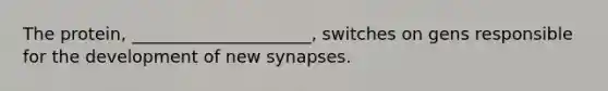 The protein, _____________________, switches on gens responsible for the development of new synapses.