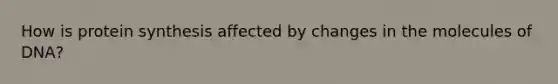 How is protein synthesis affected by changes in the molecules of DNA?