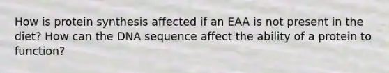 How is protein synthesis affected if an EAA is not present in the diet? How can the DNA sequence affect the ability of a protein to function?