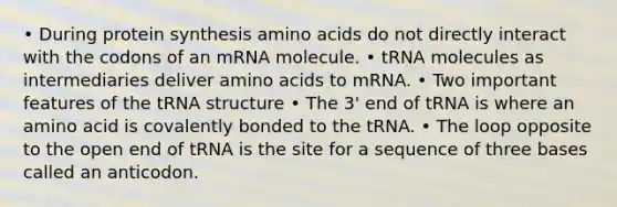 • During protein synthesis amino acids do not directly interact with the codons of an mRNA molecule. • tRNA molecules as intermediaries deliver amino acids to mRNA. • Two important features of the tRNA structure • The 3' end of tRNA is where an amino acid is covalently bonded to the tRNA. • The loop opposite to the open end of tRNA is the site for a sequence of three bases called an anticodon.