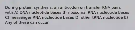 During protein synthesis, an anticodon on transfer RNA pairs with A) DNA nucleotide bases B) ribosomal RNA nucleotide bases C) messenger RNA nucleotide bases D) other tRNA nucleotide E) Any of these can occur