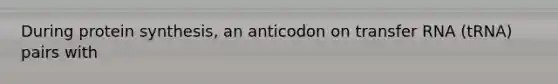 During protein synthesis, an anticodon on transfer RNA (tRNA) pairs with