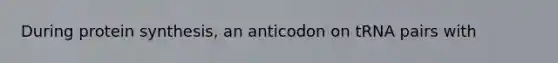 During protein synthesis, an anticodon on tRNA pairs with