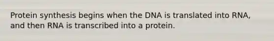 Protein synthesis begins when the DNA is translated into RNA, and then RNA is transcribed into a protein.