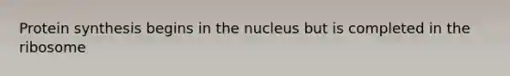 Protein synthesis begins in the nucleus but is completed in the ribosome