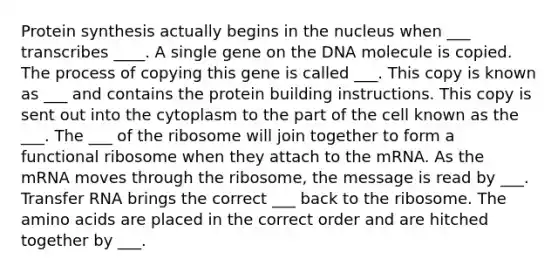 Protein synthesis actually begins in the nucleus when ___ transcribes ____. A single gene on the DNA molecule is copied. The process of copying this gene is called ___. This copy is known as ___ and contains the protein building instructions. This copy is sent out into the cytoplasm to the part of the cell known as the ___. The ___ of the ribosome will join together to form a functional ribosome when they attach to the mRNA. As the mRNA moves through the ribosome, the message is read by ___. Transfer RNA brings the correct ___ back to the ribosome. The amino acids are placed in the correct order and are hitched together by ___.