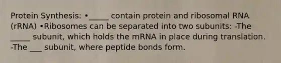 Protein Synthesis: •_____ contain protein and ribosomal RNA (rRNA) •Ribosomes can be separated into two subunits: -The _____ subunit, which holds the mRNA in place during translation. -The ___ subunit, where peptide bonds form.