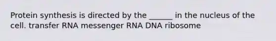 Protein synthesis is directed by the ______ in the nucleus of the cell. transfer RNA messenger RNA DNA ribosome