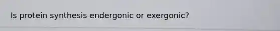 Is <a href='https://www.questionai.com/knowledge/kVyphSdCnD-protein-synthesis' class='anchor-knowledge'>protein synthesis</a> endergonic or exergonic?