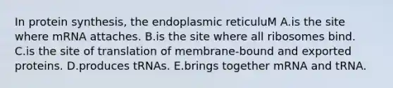 In <a href='https://www.questionai.com/knowledge/kVyphSdCnD-protein-synthesis' class='anchor-knowledge'>protein synthesis</a>, the endoplasmic reticuluM A.is the site where mRNA attaches. B.is the site where all ribosomes bind. C.is the site of translation of membrane-bound and exported proteins. D.produces tRNAs. E.brings together mRNA and tRNA.