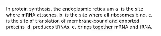 In <a href='https://www.questionai.com/knowledge/kVyphSdCnD-protein-synthesis' class='anchor-knowledge'>protein synthesis</a>, the endoplasmic reticulum a. is the site where mRNA attaches. b. is the site where all ribosomes bind. c. is the site of translation of membrane-bound and exported proteins. d. produces tRNAs. e. brings together mRNA and tRNA.