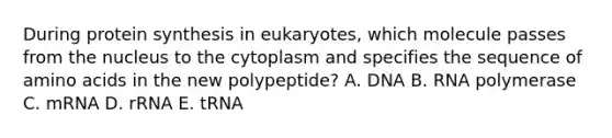 During protein synthesis in eukaryotes, which molecule passes from the nucleus to the cytoplasm and specifies the sequence of amino acids in the new polypeptide? A. DNA B. RNA polymerase C. mRNA D. rRNA E. tRNA