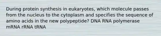 During protein synthesis in eukaryotes, which molecule passes from the nucleus to the cytoplasm and specifies the sequence of amino acids in the new polypeptide? DNA RNA polymerase mRNA rRNA tRNA