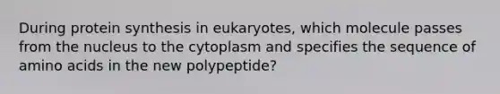 During protein synthesis in eukaryotes, which molecule passes from the nucleus to the cytoplasm and specifies the sequence of amino acids in the new polypeptide?