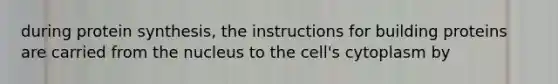 during protein synthesis, the instructions for building proteins are carried from the nucleus to the cell's cytoplasm by