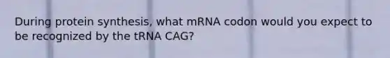 During protein synthesis, what mRNA codon would you expect to be recognized by the tRNA CAG?