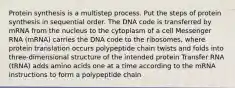 Protein synthesis is a multistep process. Put the steps of protein synthesis in sequential order. The DNA code is transferred by mRNA from the nucleus to the cytoplasm of a cell Messenger RNA (mRNA) carries the DNA code to the ribosomes, where protein translation occurs polypeptide chain twists and folds into three-dimensional structure of the intended protein Transfer RNA (tRNA) adds amino acids one at a time according to the mRNA instructions to form a polypeptide chain