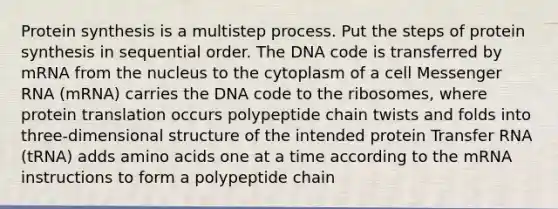 Protein synthesis is a multistep process. Put the steps of protein synthesis in sequential order. The DNA code is transferred by mRNA from the nucleus to the cytoplasm of a cell <a href='https://www.questionai.com/knowledge/kDttgcz0ig-messenger-rna' class='anchor-knowledge'>messenger rna</a> (mRNA) carries the DNA code to the ribosomes, where protein translation occurs polypeptide chain twists and folds into three-dimensional structure of the intended protein <a href='https://www.questionai.com/knowledge/kYREgpZMtc-transfer-rna' class='anchor-knowledge'>transfer rna</a> (tRNA) adds <a href='https://www.questionai.com/knowledge/k9gb720LCl-amino-acids' class='anchor-knowledge'>amino acids</a> one at a time according to the mRNA instructions to form a polypeptide chain