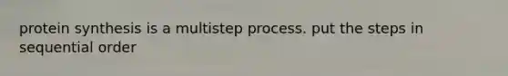 protein synthesis is a multistep process. put the steps in sequential order