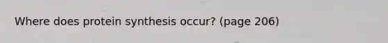 Where does protein synthesis occur? (page 206)