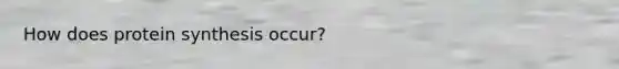 How does protein synthesis occur?