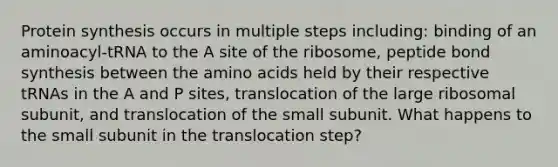 Protein synthesis occurs in multiple steps including: binding of an aminoacyl-tRNA to the A site of the ribosome, peptide bond synthesis between the amino acids held by their respective tRNAs in the A and P sites, translocation of the large ribosomal subunit, and translocation of the small subunit. What happens to the small subunit in the translocation step?