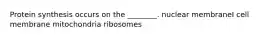 Protein synthesis occurs on the ________. nuclear membraneI cell membrane mitochondria ribosomes