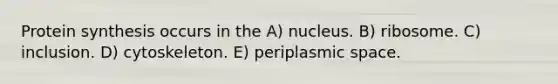 Protein synthesis occurs in the A) nucleus. B) ribosome. C) inclusion. D) cytoskeleton. E) periplasmic space.