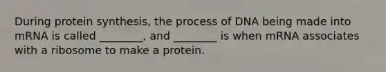 During protein synthesis, the process of DNA being made into mRNA is called ________, and ________ is when mRNA associates with a ribosome to make a protein.