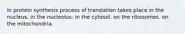 In protein synthesis process of translation takes place in the nucleus. in the nucleolus. in the cytosol. on the ribosomes. on the mitochondria.