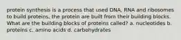 protein synthesis is a process that used DNA, RNA and ribosomes to build proteins, the protein are built from their building blocks. What are the building blocks of proteins called? a. nucleotides b. proteins c. amino acids d. carbohydrates