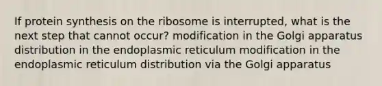 If protein synthesis on the ribosome is interrupted, what is the next step that cannot occur? modification in the Golgi apparatus distribution in the endoplasmic reticulum modification in the endoplasmic reticulum distribution via the Golgi apparatus