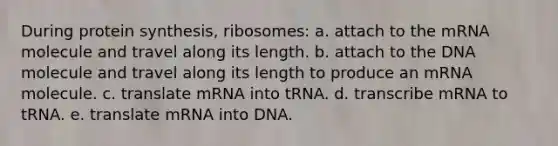 During protein synthesis, ribosomes: a. attach to the mRNA molecule and travel along its length. b. attach to the DNA molecule and travel along its length to produce an mRNA molecule. c. translate mRNA into tRNA. d. transcribe mRNA to tRNA. e. translate mRNA into DNA.