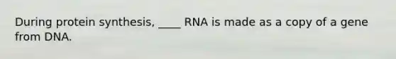 During protein synthesis, ____ RNA is made as a copy of a gene from DNA.