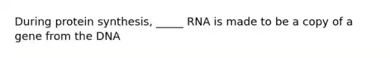 During <a href='https://www.questionai.com/knowledge/kVyphSdCnD-protein-synthesis' class='anchor-knowledge'>protein synthesis</a>, _____ RNA is made to be a copy of a gene from the DNA