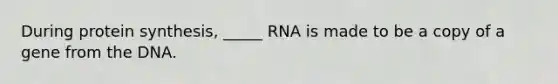 During protein synthesis, _____ RNA is made to be a copy of a gene from the DNA.