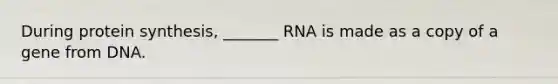 During protein synthesis, _______ RNA is made as a copy of a gene from DNA.