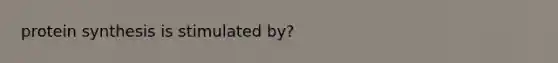<a href='https://www.questionai.com/knowledge/kVyphSdCnD-protein-synthesis' class='anchor-knowledge'>protein synthesis</a> is stimulated by?