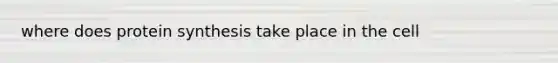 where does protein synthesis take place in the cell
