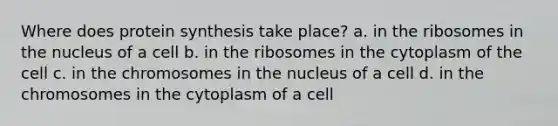 Where does protein synthesis take place? a. in the ribosomes in the nucleus of a cell b. in the ribosomes in the cytoplasm of the cell c. in the chromosomes in the nucleus of a cell d. in the chromosomes in the cytoplasm of a cell