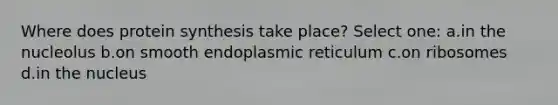 Where does protein synthesis take place? Select one: a.in the nucleolus b.on smooth endoplasmic reticulum c.on ribosomes d.in the nucleus