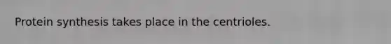 Protein synthesis takes place in the centrioles.