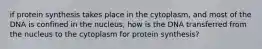 if protein synthesis takes place in the cytoplasm, and most of the DNA is confined in the nucleus, how is the DNA transferred from the nucleus to the cytoplasm for protein synthesis?