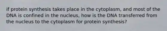 if protein synthesis takes place in the cytoplasm, and most of the DNA is confined in the nucleus, how is the DNA transferred from the nucleus to the cytoplasm for protein synthesis?