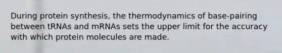 During protein synthesis, the thermodynamics of base-pairing between tRNAs and mRNAs sets the upper limit for the accuracy with which protein molecules are made.