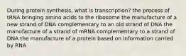 During protein synthesis, what is transcription? the process of tRNA bringing amino acids to the ribosome the manufacture of a new strand of DNA complementary to an old strand of DNA the manufacture of a strand of mRNA complementary to a strand of DNA the manufacture of a protein based on information carried by RNA