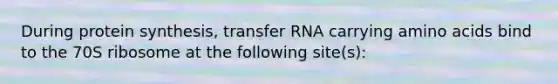 During protein synthesis, transfer RNA carrying amino acids bind to the 70S ribosome at the following site(s):