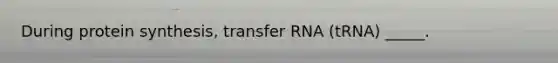 During protein synthesis, transfer RNA (tRNA) _____.