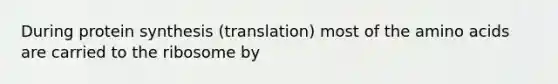 During protein synthesis (translation) most of the amino acids are carried to the ribosome by